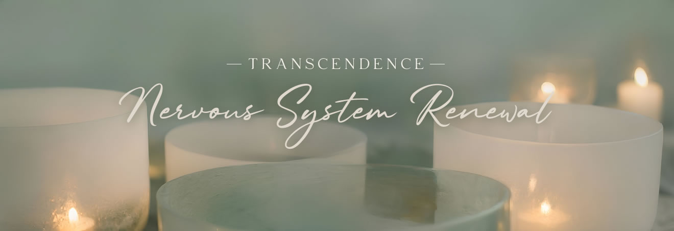 Transcendence: Nervous System Renewal