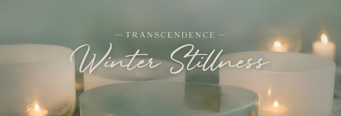 Transcendence: Winter Stillness